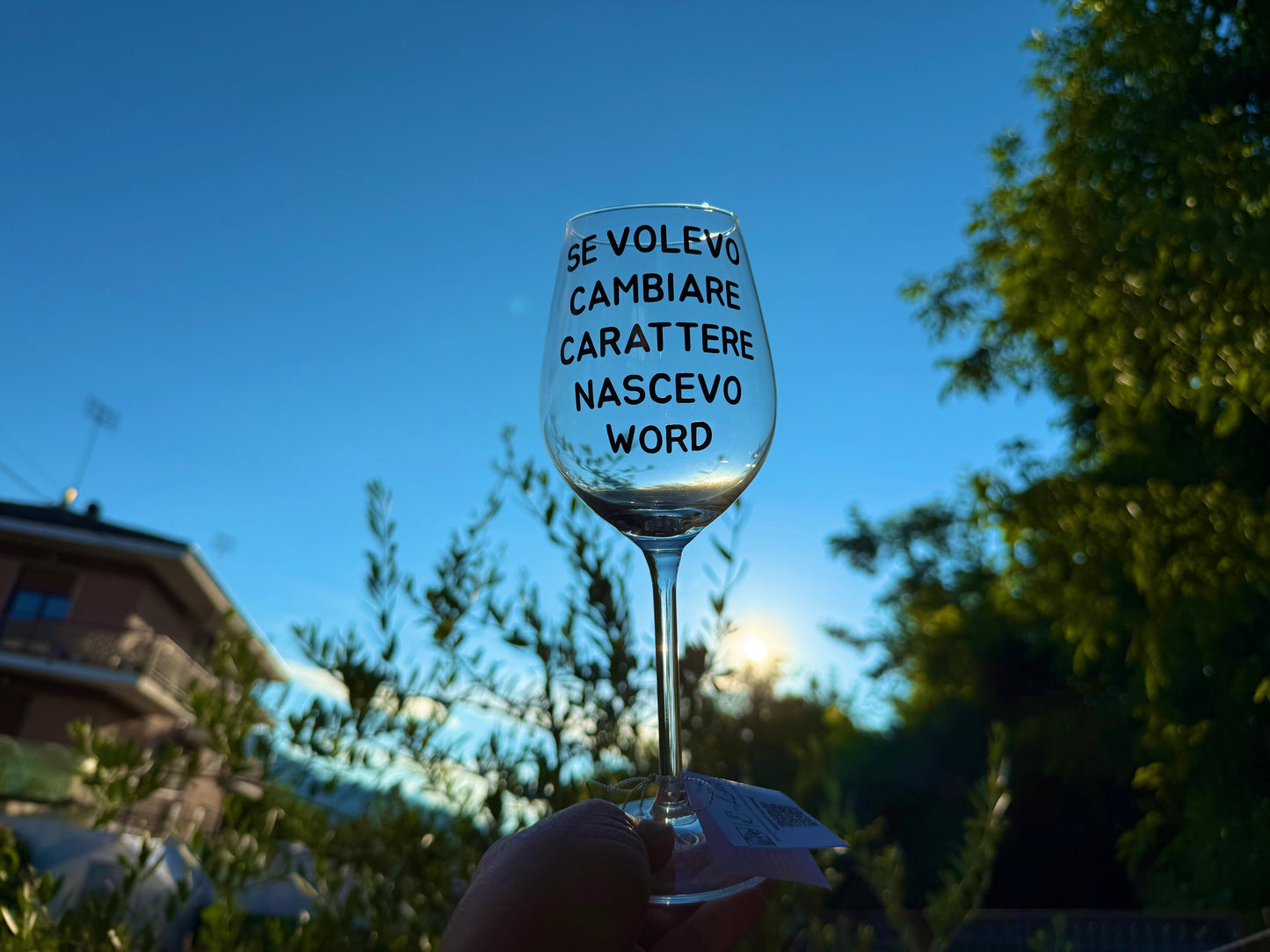 Calice - SE VOLEVO CAMBIARE CARATTERE NASCEVO WORD