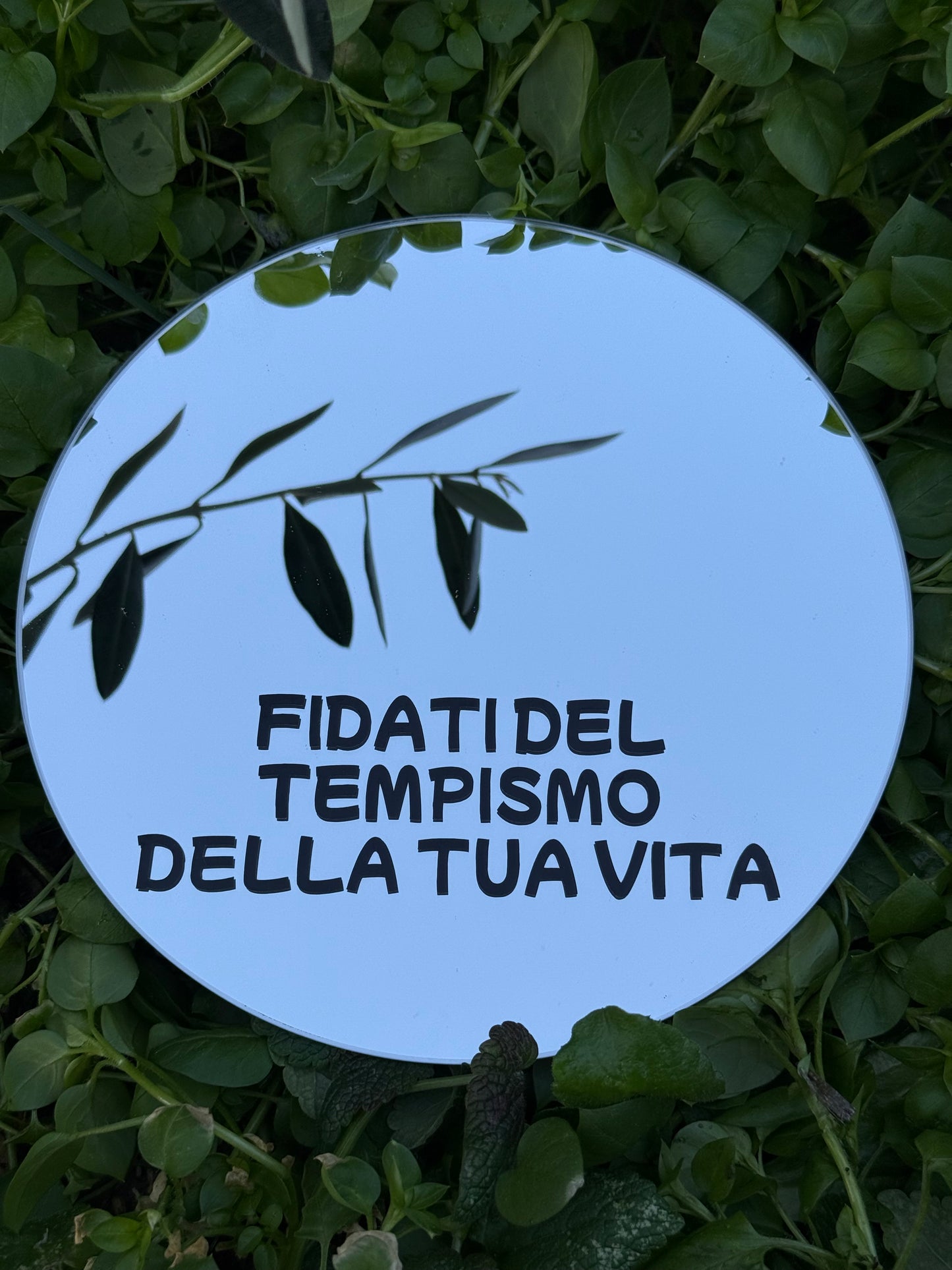 Mirror - BEAUTIFUL THINGS HAVE A SLOW PACE