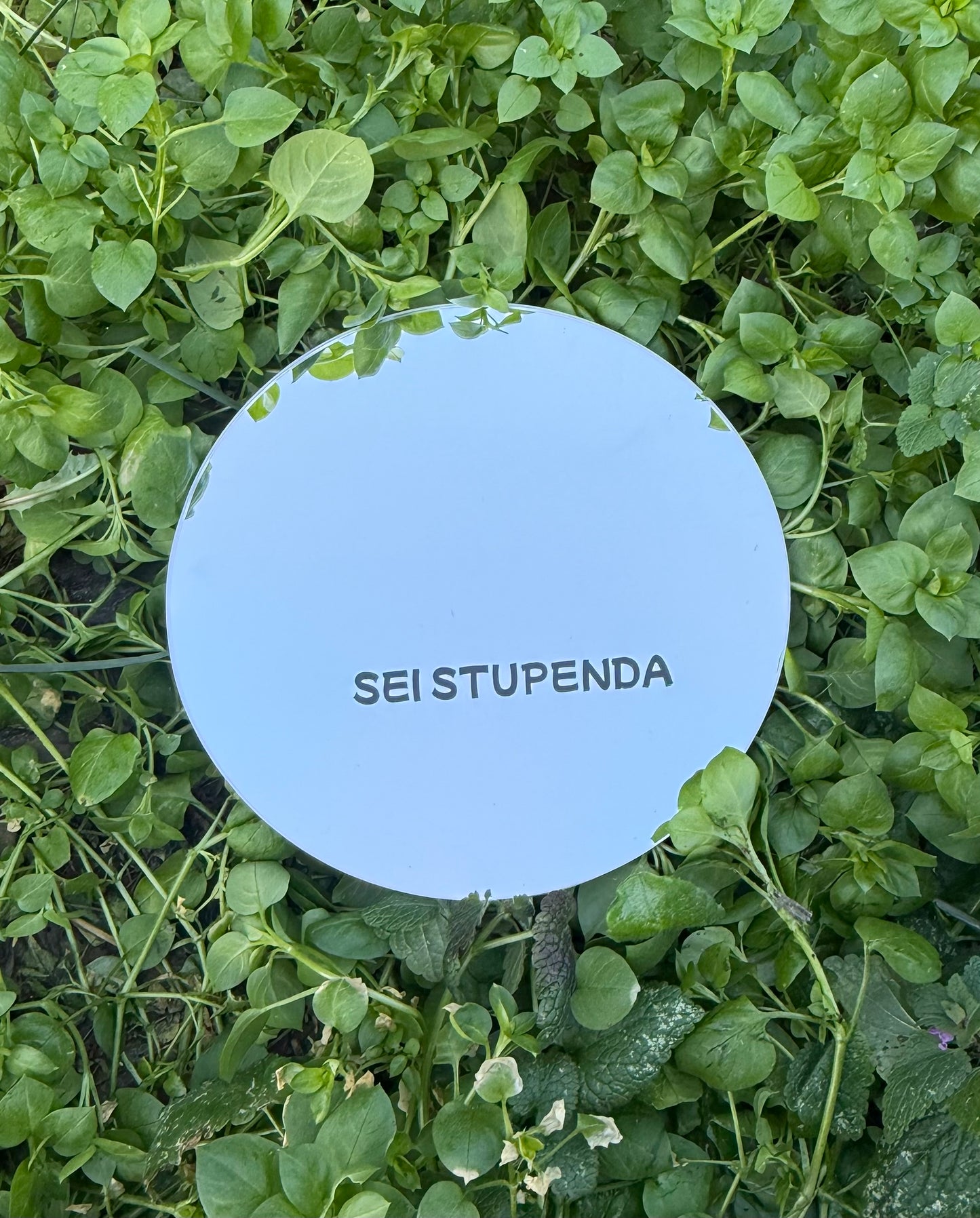 Mirror - YOU ARE GORGEOUS