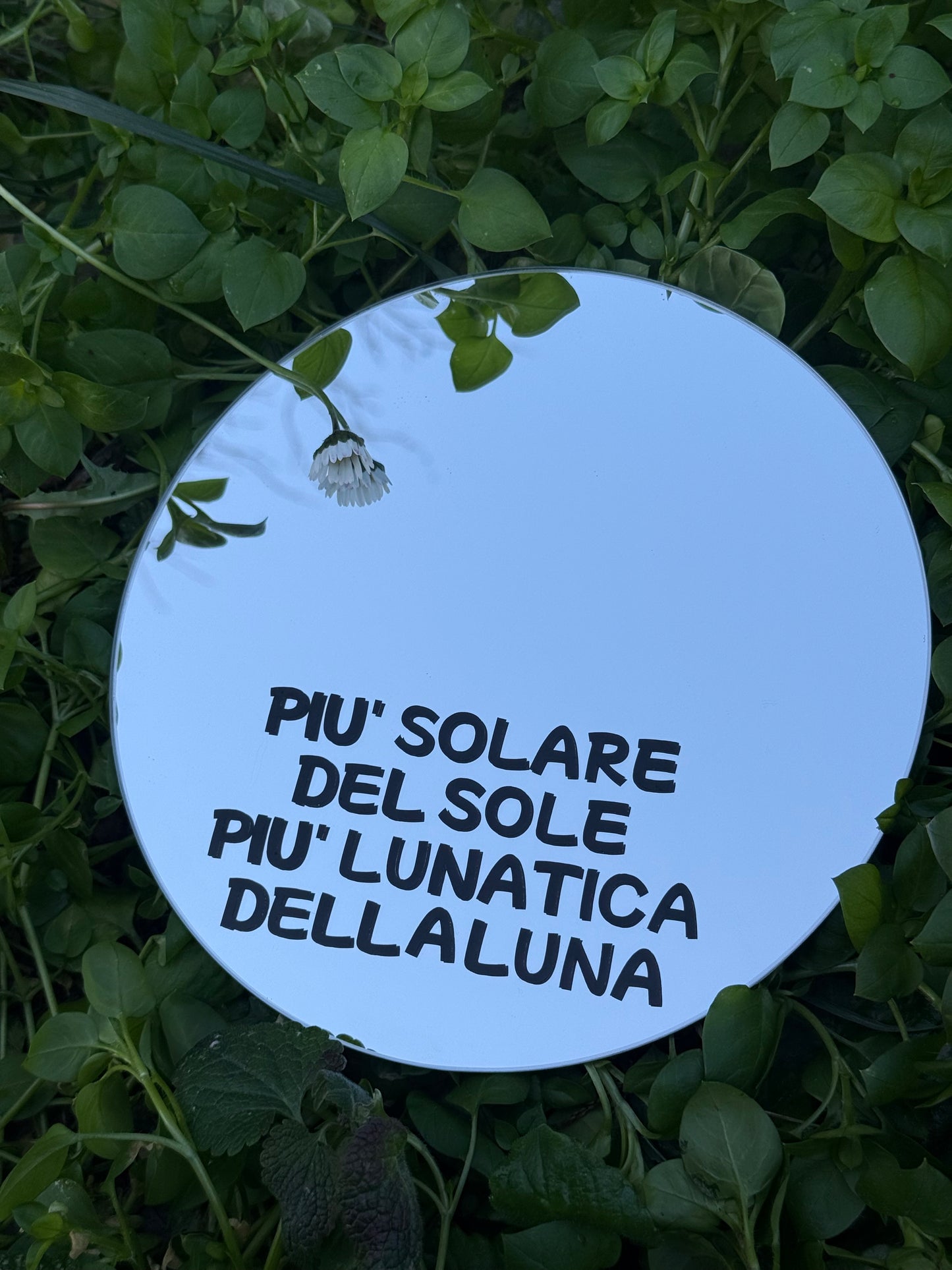 Mirror - SUNNIER THAN THE SUN, MOODIER THAN THE MOON