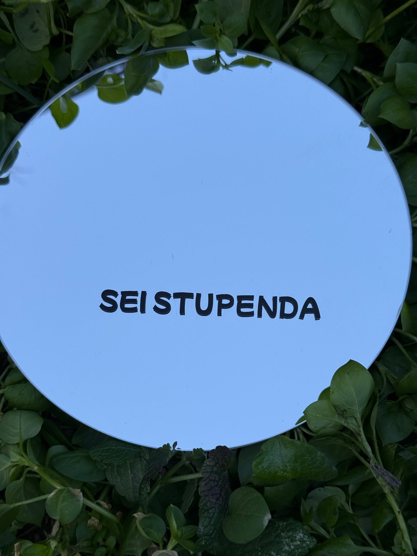 Mirror - YOU ARE GORGEOUS