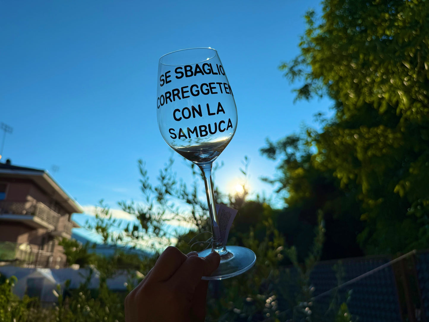 Calice - SE SBAGLIO CORREGGETEMI CON LA SAMBUCA