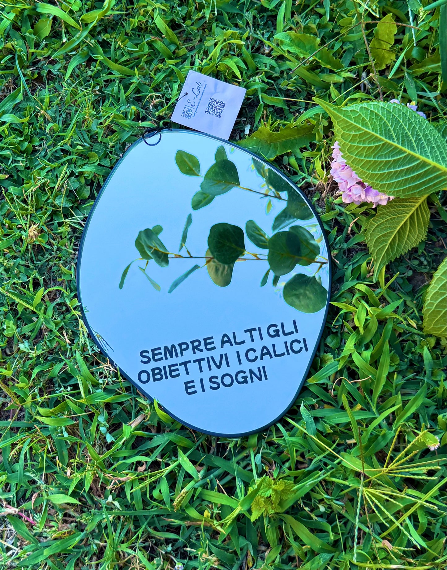 Specchio - SEMPRE ALTI GLI OBIETTIVI, I CALICI E I SOGNI - cornice oro